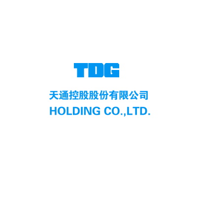 TDG Holging Co. Ltd. - A European and Chinese Business Management Partner